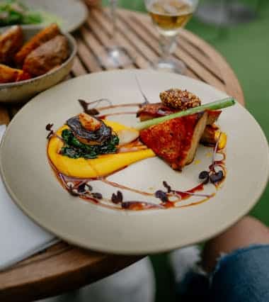 Gourmet dish with sauce and greens