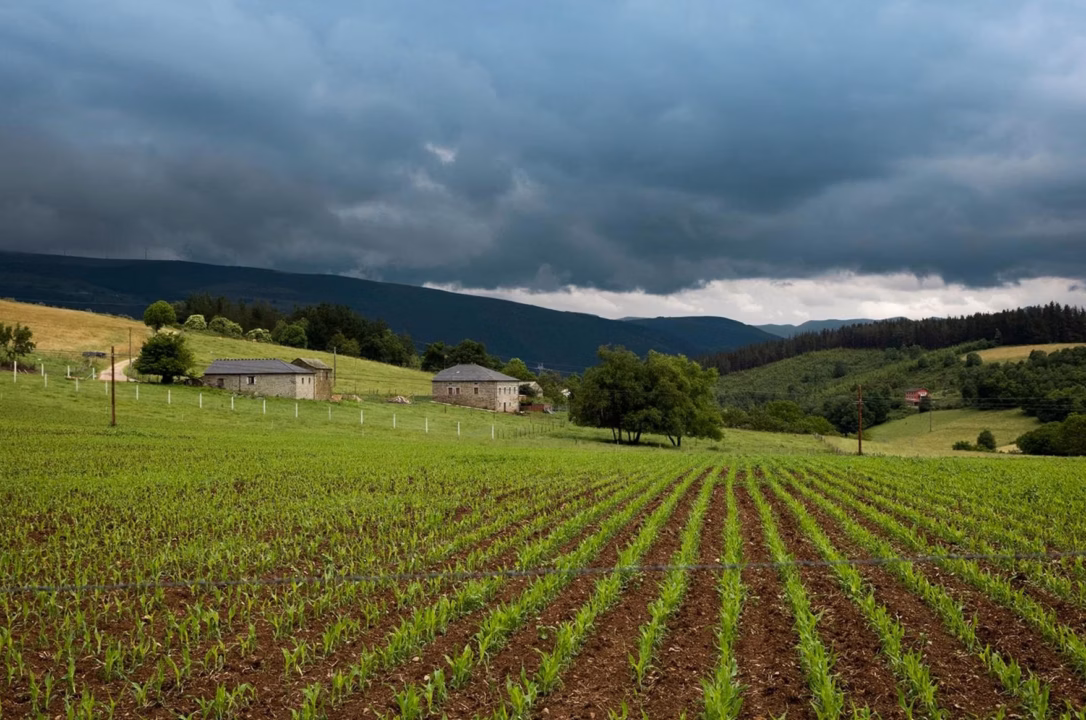 À deux pas de Quimperlé, Agrifête se mobilise les 22 et 23 août pour façonner l&rsquo;agriculture de demain