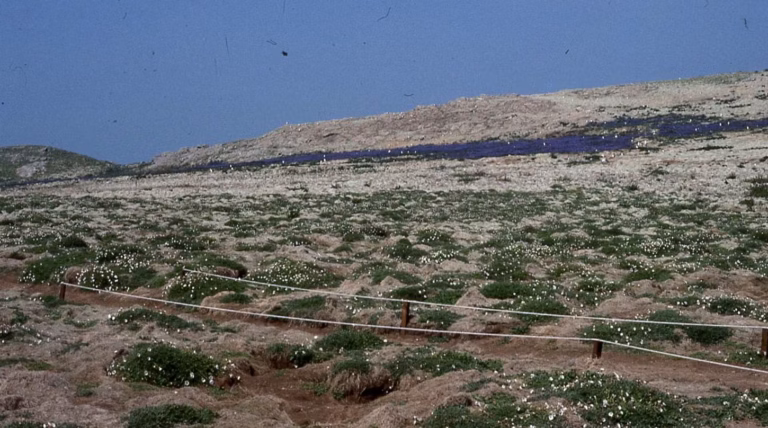 À Gaza, seulement 3 % des terres agricoles restent préservées et accessibles